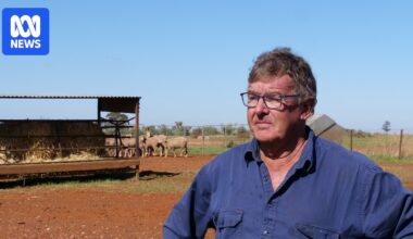 Record-breaking rainfall has inundated SA's worst-hit regions, but is this the end of the drought?
