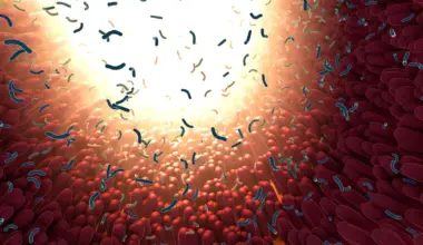 MIT scientists discover gut protein that traps and kills dangerous bacteria