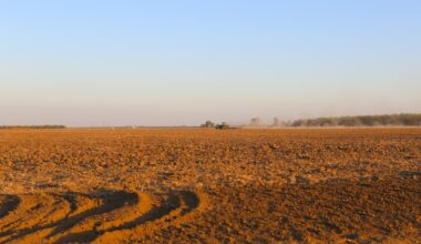 Global scientists reveal how farming affects soil via new Earth-sensing technology