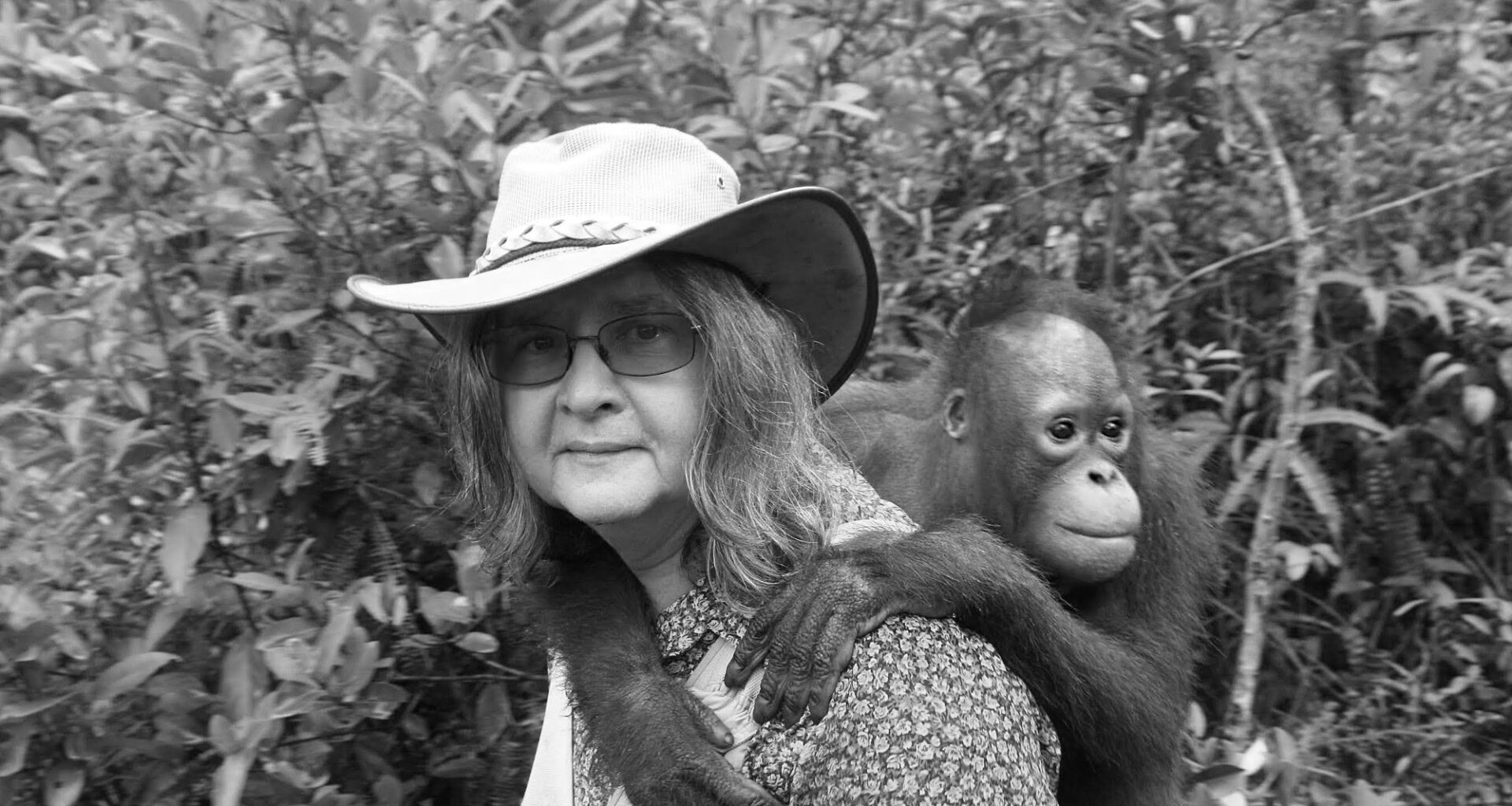 Birutė Galdikas, primatologist who spent a lifetime studying & defending orangutans, has died at 79