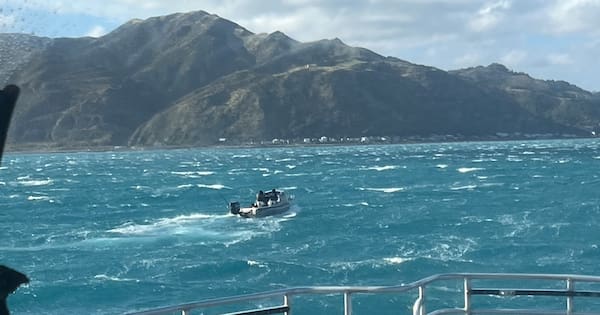 Wgtn boaties rescued by police, chopper