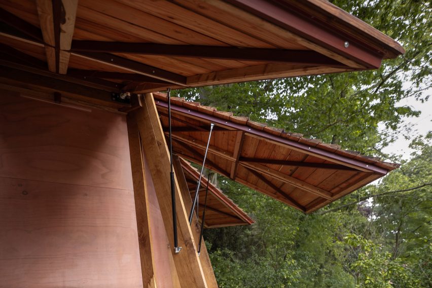 Oak structure in the Netherlands