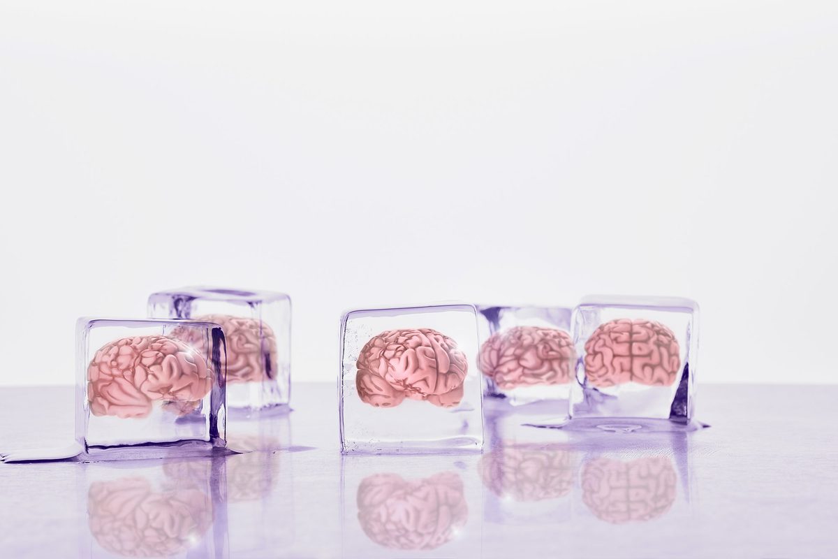 Brains frozen in ice cubes.