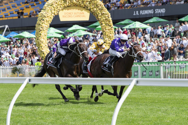 Aeliana edges clear of Lindermann in the G1 Ranvet - image Bradley Photos