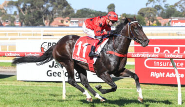 Asakura will contest Saturday