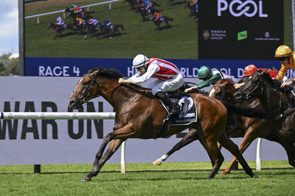 Beskar started longer odds than he deserved - image Bradley Photos