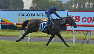 Cluedo Lane was one of two SWs on Saturday for Ghibellines - Race Images