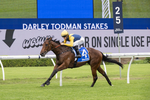 Paradoxium is the second of the Ridgmont runners - image Bradley Photos