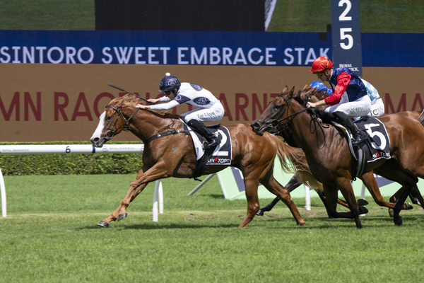 Spicy Miss breaks the maiden in style - image Bradley Photos