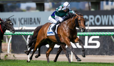 Vinrock has been retired and will stand at a fee of $22,000.