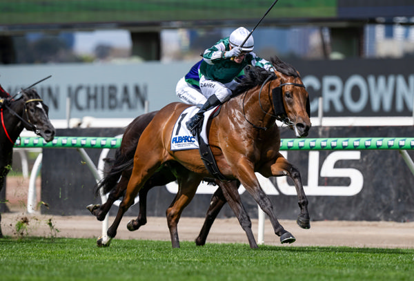 Vinrock has been retired and will stand at a fee of $22,000.