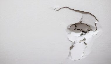 Dents on a wall? Landlords, tenants puzzle over wear and tear rules