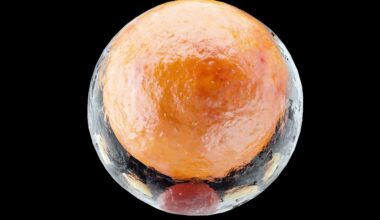 Hidden switch turns brown fat into a powerful calorie burner