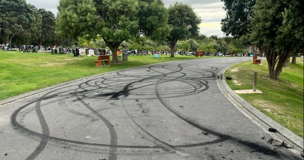 Workers 'heartbroken' at burnout damage at cemetery near Wellington