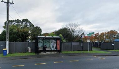 'Good Samaritans' save teen from Auckland bus stop assault