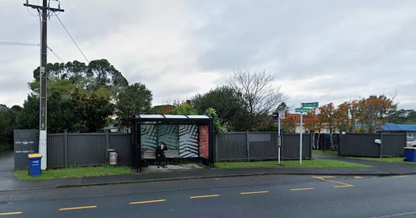 'Good Samaritans' save teen from Auckland bus stop assault