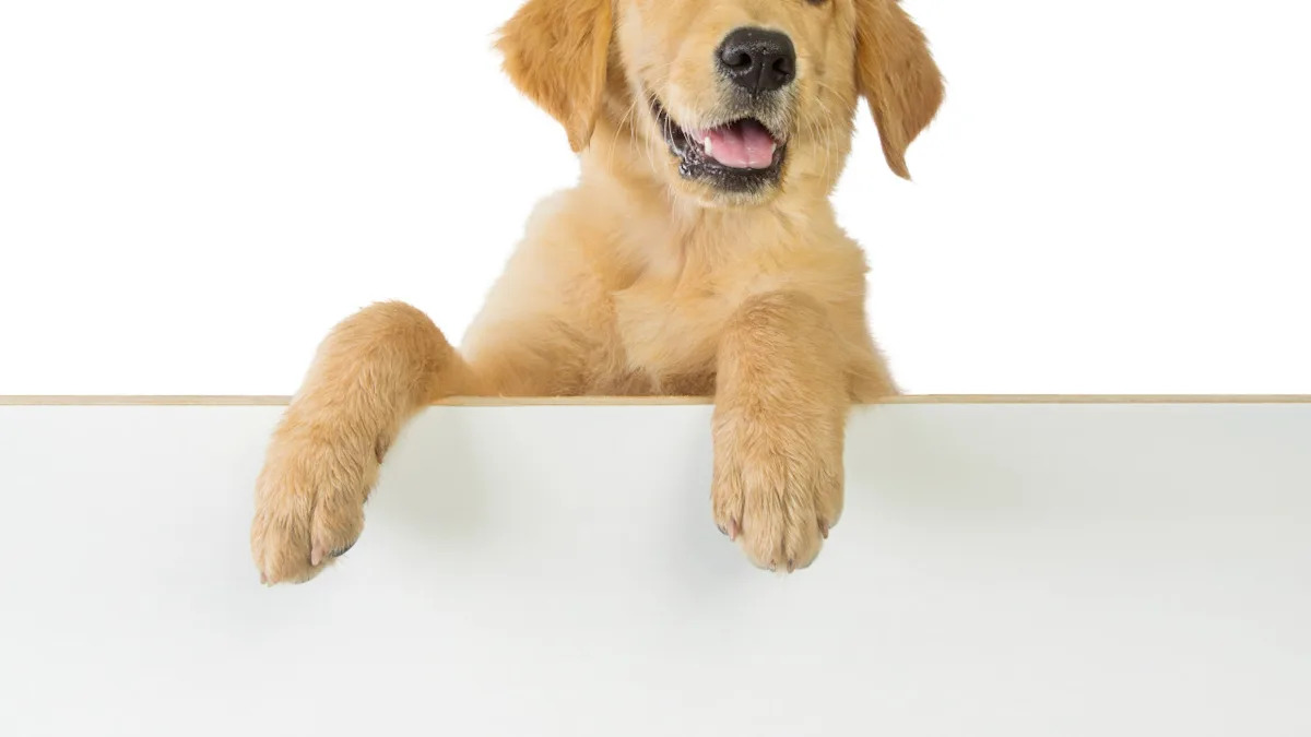 Yahoo lifestyle home