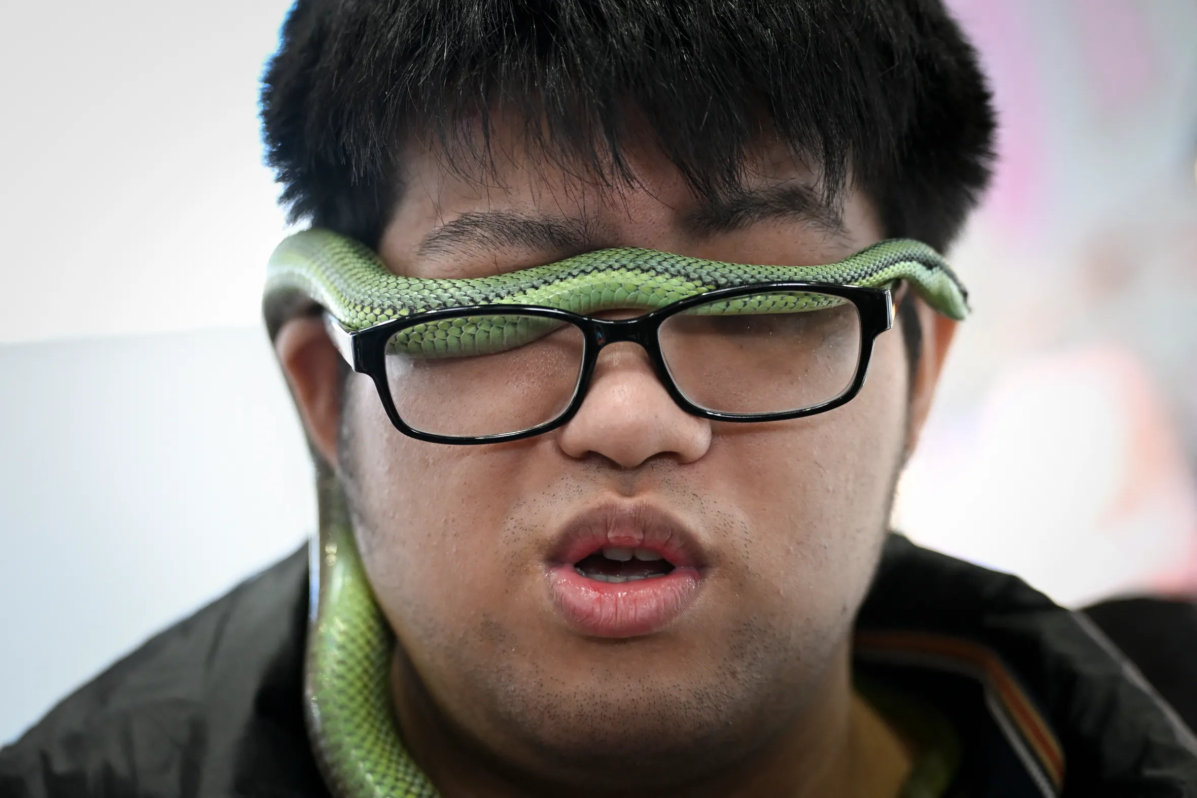 A visitor at a pet fair wears a green snake over their eyes and glasses.
