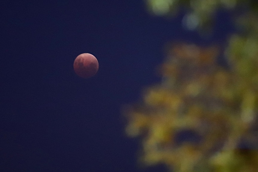 A reddish-orange moon in the sky.