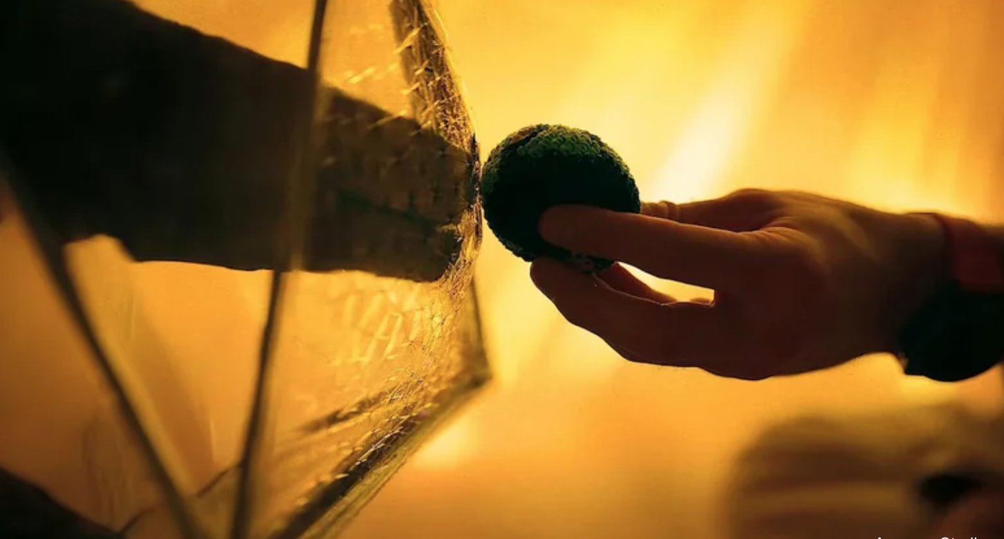 an alien hand and a human hand meet