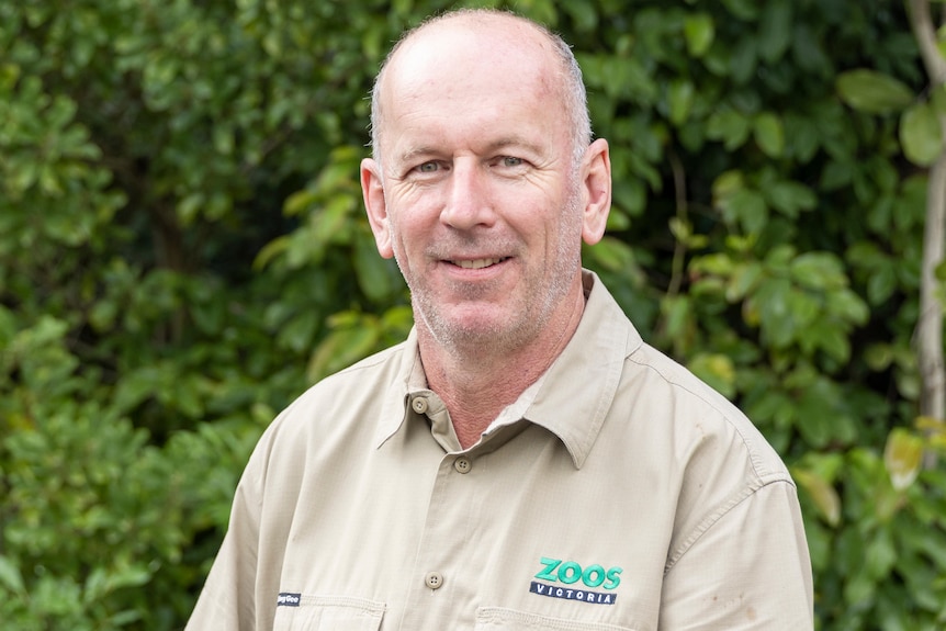 Man in Melbourne Zoo uniform