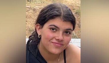 Dingo attack led to backpacker's drowning in Queensland: coroner