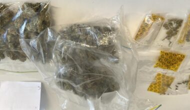 Pair arrested in Southland drug bust