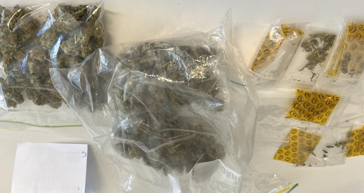 Pair arrested in Southland drug bust