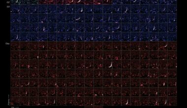 Brighter Side of News