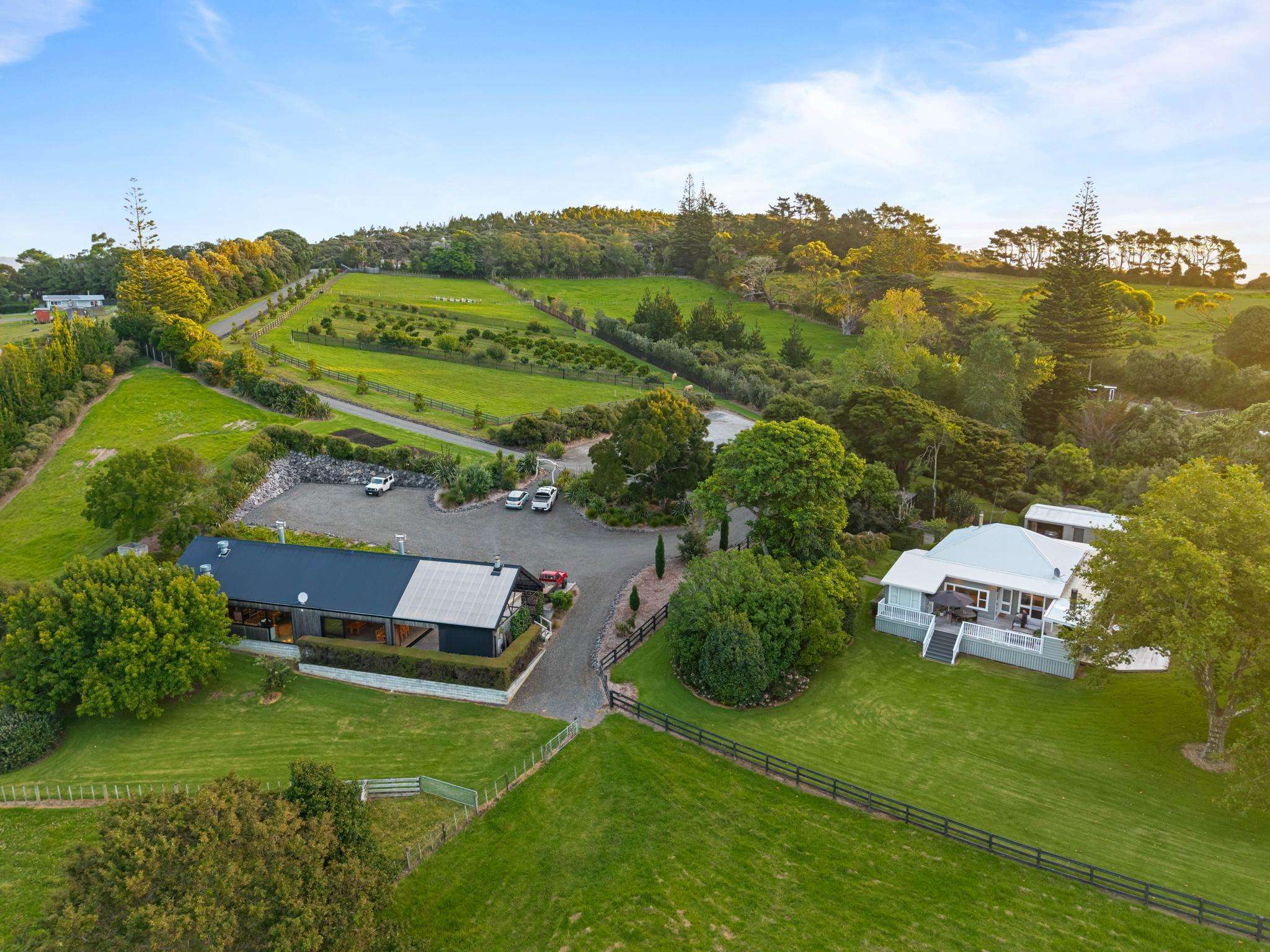 Michael Van de Elzen at his Muriwai property on Auckland's West Coast. Photo / Brett Phibbs