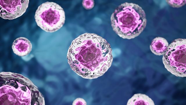 Simulation Recreates a Minimal Cell Life Cycle