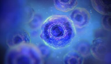 AI Optimizes RNA Switches To Control Cell Decisions