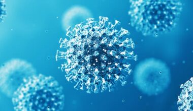 'Scars' remain despite NZ responding 'well' to pandemic