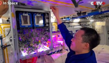 Chinese Space Station Astronauts Harvest Space Tomatoes