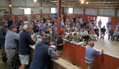 ‘Staggering’ sale result to end dynasty