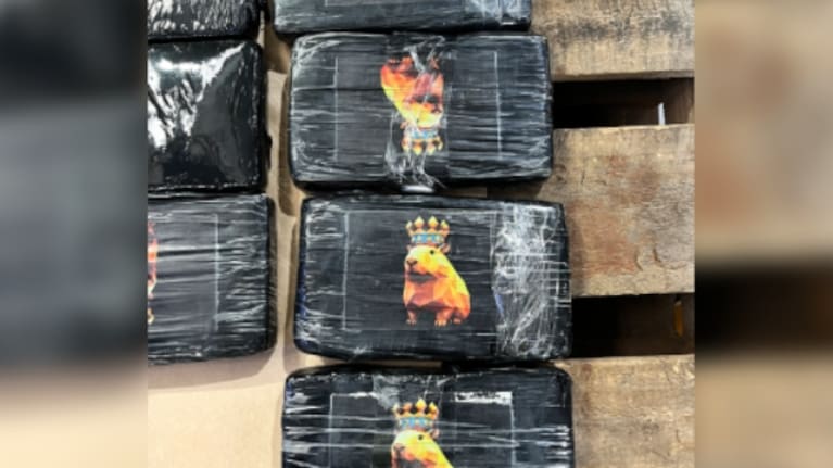 The bricks featured various brandings, including Volvo, Porsche, and an image of a hamster wearing a crown.