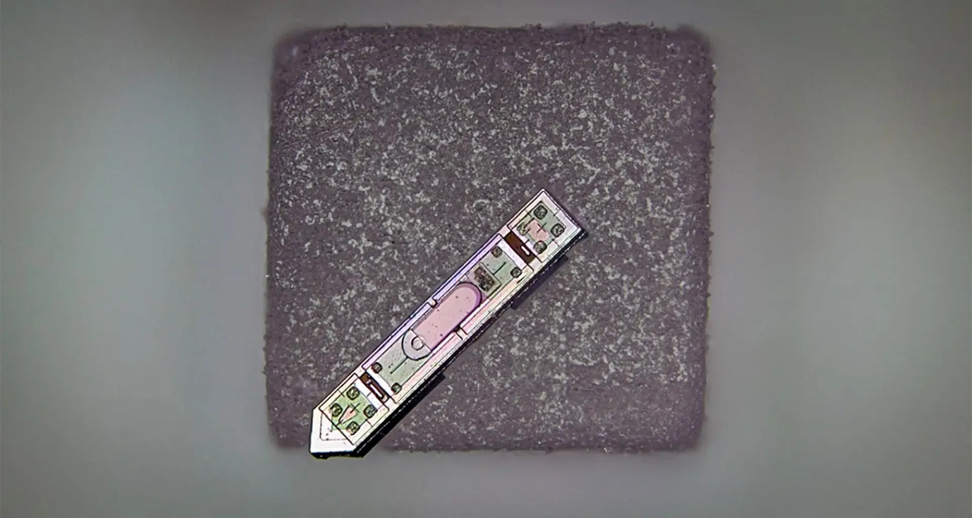 This tiny implant, smaller than a grain of salt, can read your brain