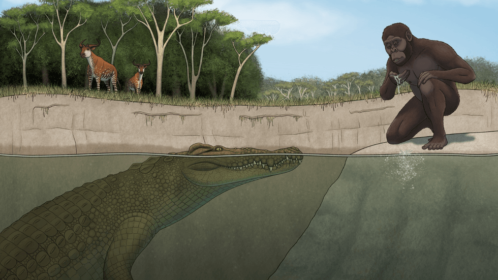 Crocodylus lucivenator artist's impression