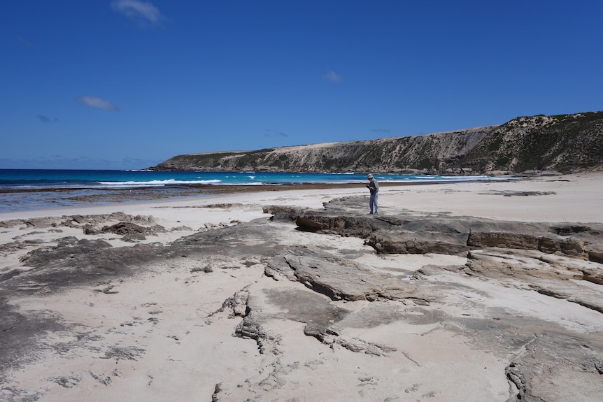 A man standing along a beach featuring low rocks and a cliff headland with bright blue ocean