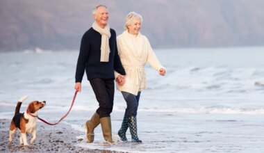 Retirement as we know it is about to change for ever