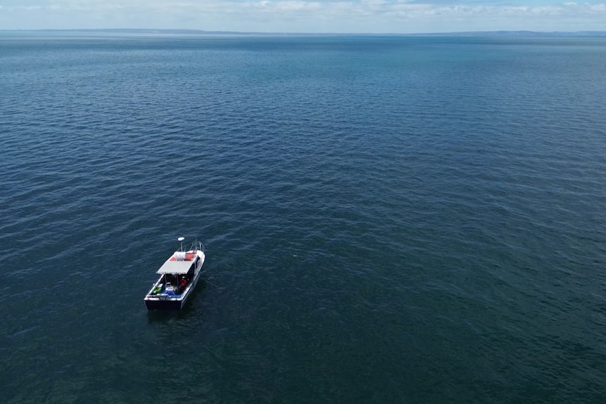 a boat floating in port phillip bay