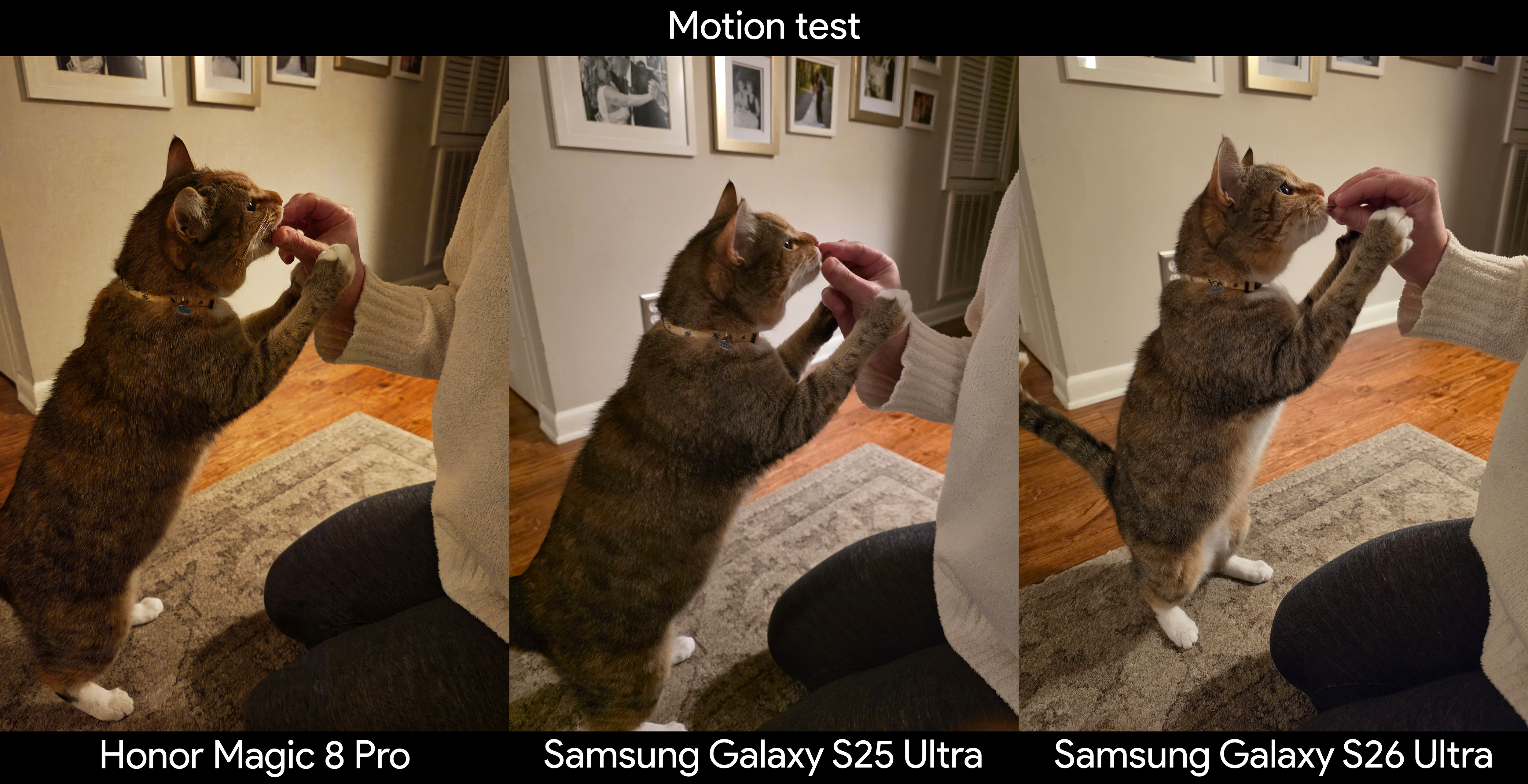 Comparing motion clarity in photos of a cat taken on a Samsung Galaxy S25 Ultra, Samsung Galaxy S26 Ultra, and an Honor Magic 8 Pro