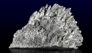 Scientists Mixed Dead Leaves with Magnesium—and Created a Supermetal
