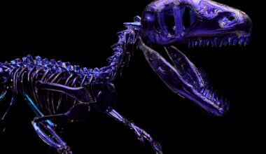 A life-size Dakotaraptor dinosaur skeleton made from blue glass
