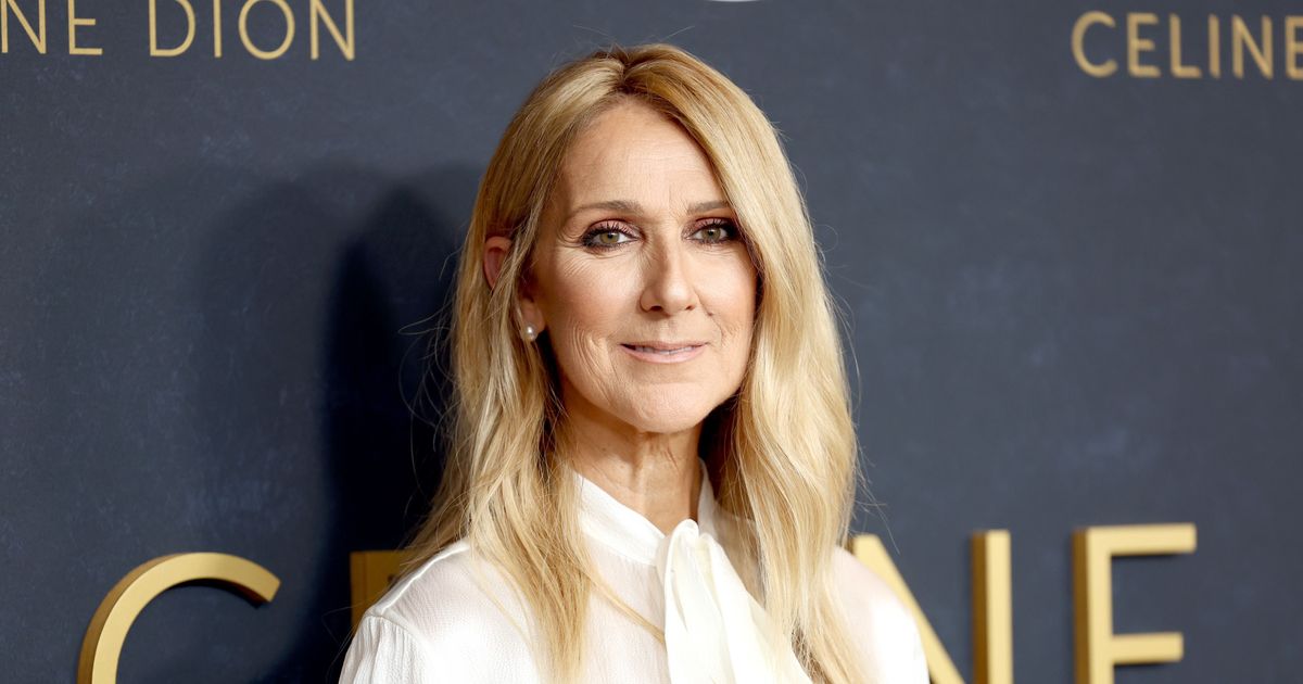 Are We Getting a New Celine Dion Concert?