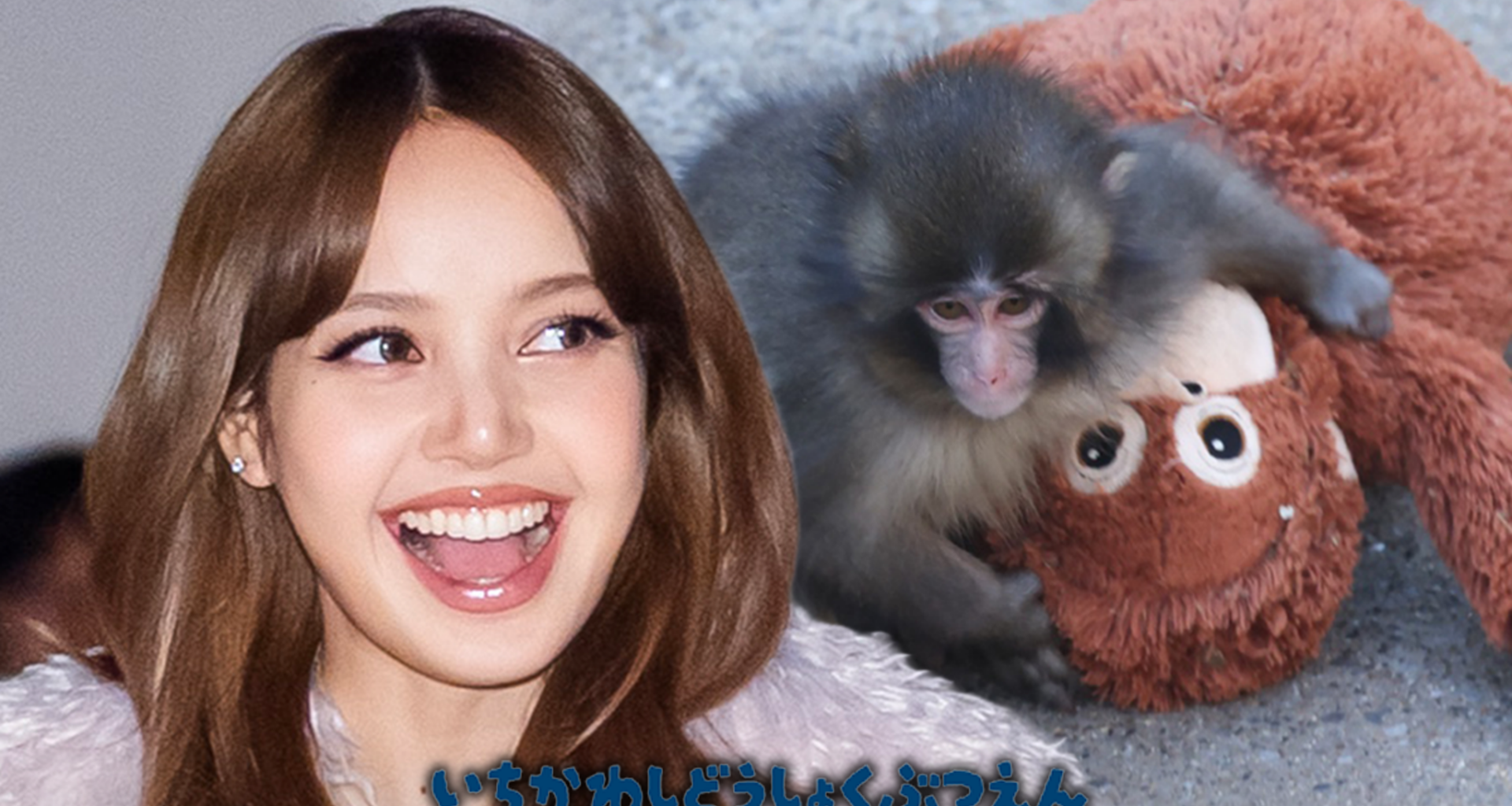 BLACKPINK's LISA Visits Punch the Monkey, Brings Orangutan Stuffed Animal