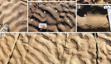Deep sea microbial life signatures found in a very unexpected place
