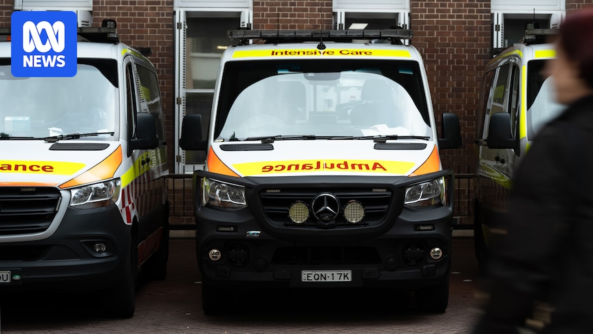 NSW public health system experienced unprecedented demand, BHI report shows