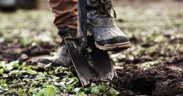 Centuries old remains in Wellington garden