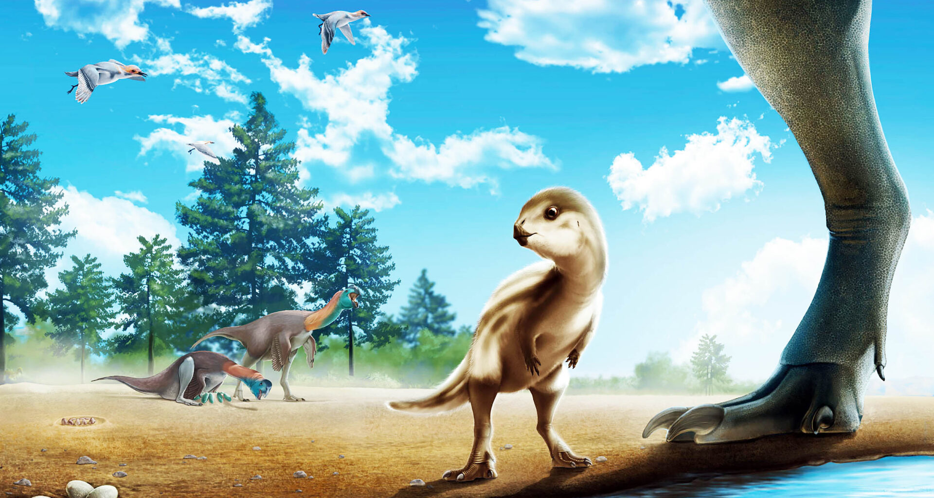 The skeletal anatomy of a juvenile Doolysaurus huhmini. The graphic highlights the fossil bones that were found with the dinosaur. Credit: Janet Cañamar